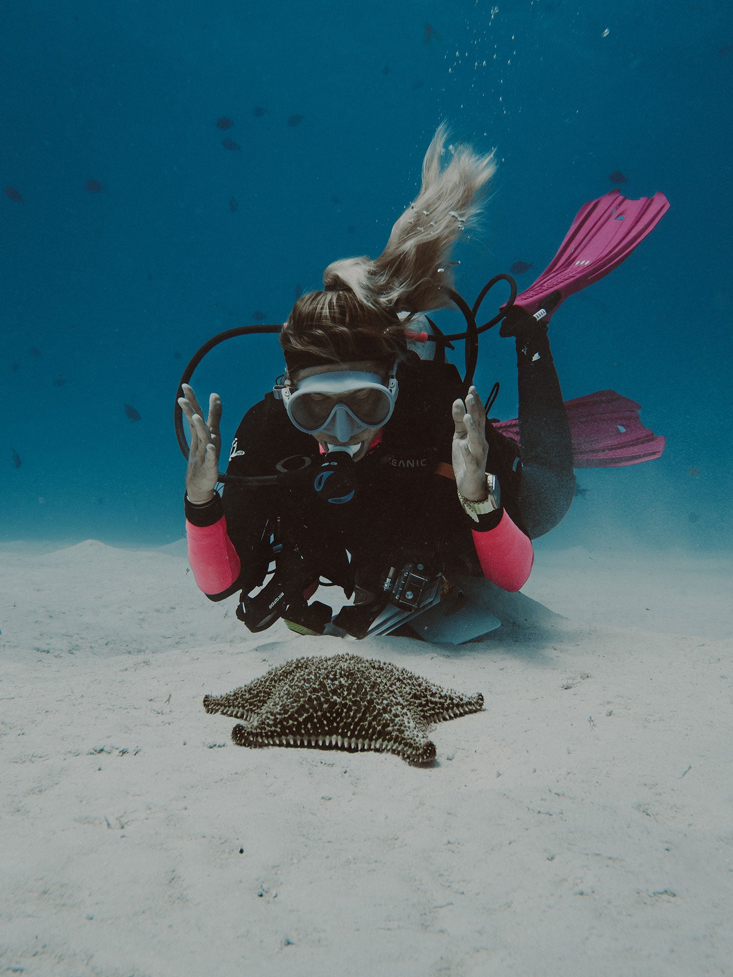 RESERVA TU VIAJE A PLAYA DEL CARMEN