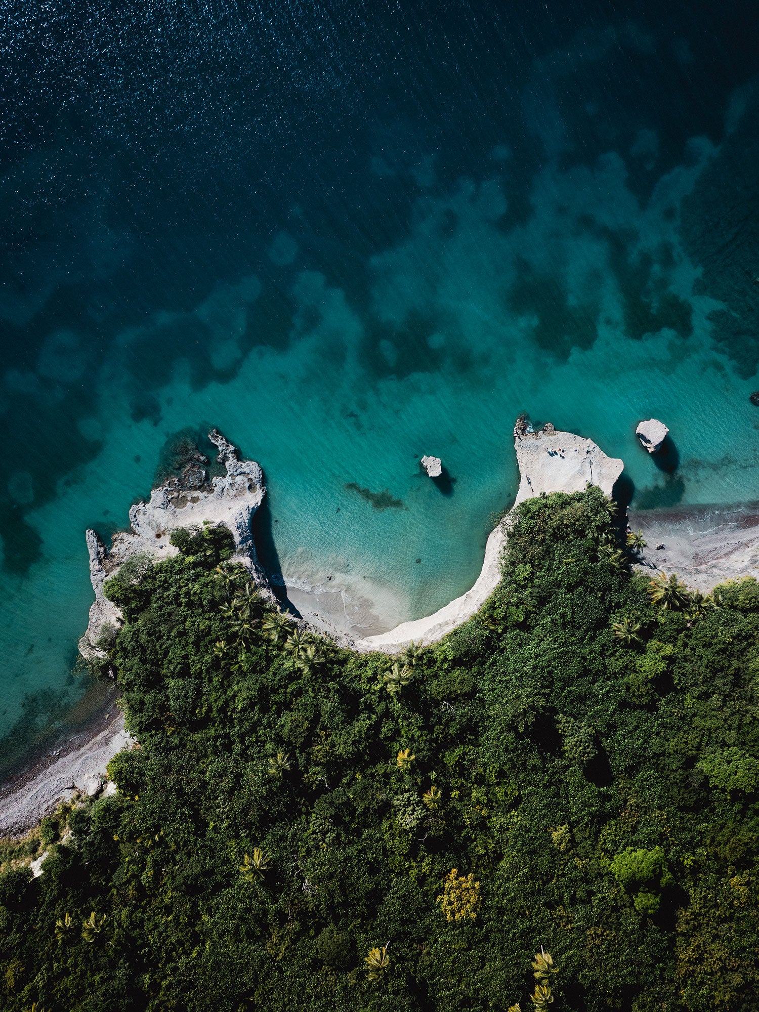 RESERVA TU VIAJE A PLAYA DEL CARMEN