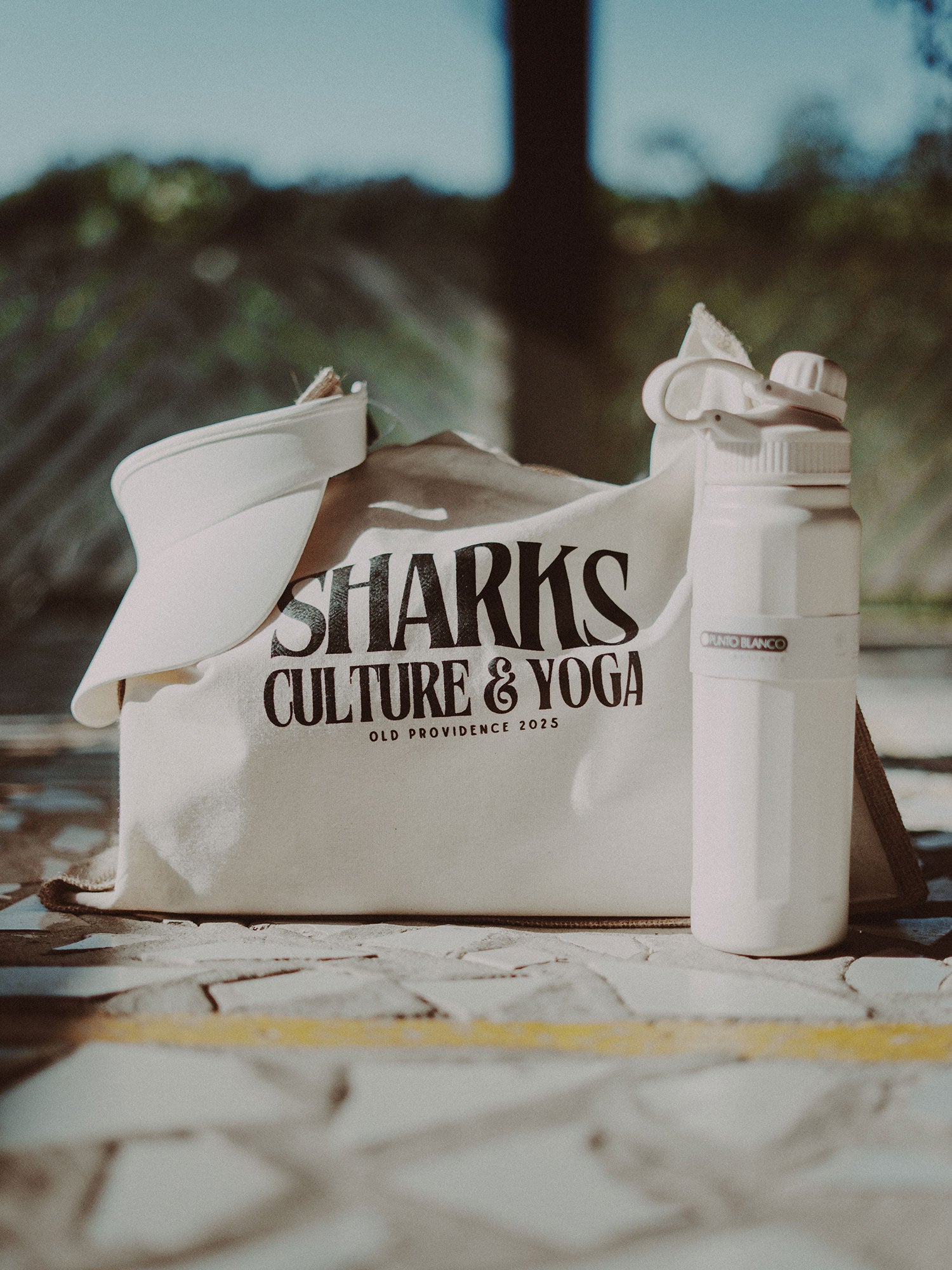 RESERVA TU VIAJE A PLAYA DEL CARMEN