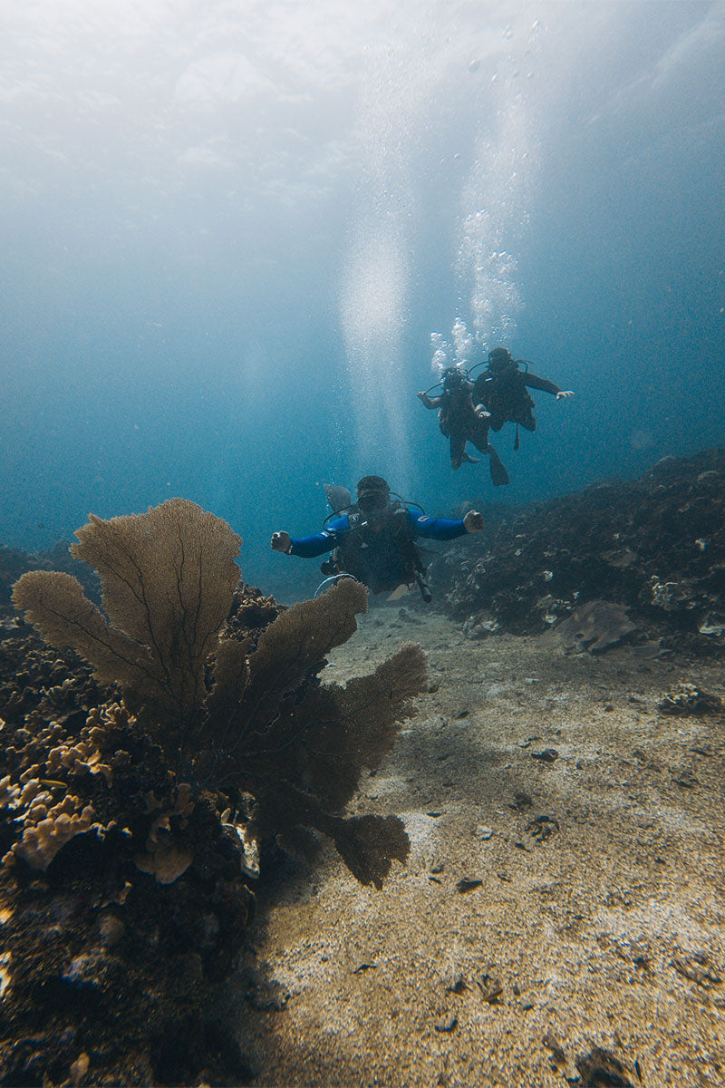 FUNDIVE / BUCEO DOBLE (BUZOS CERTIFICADOS)