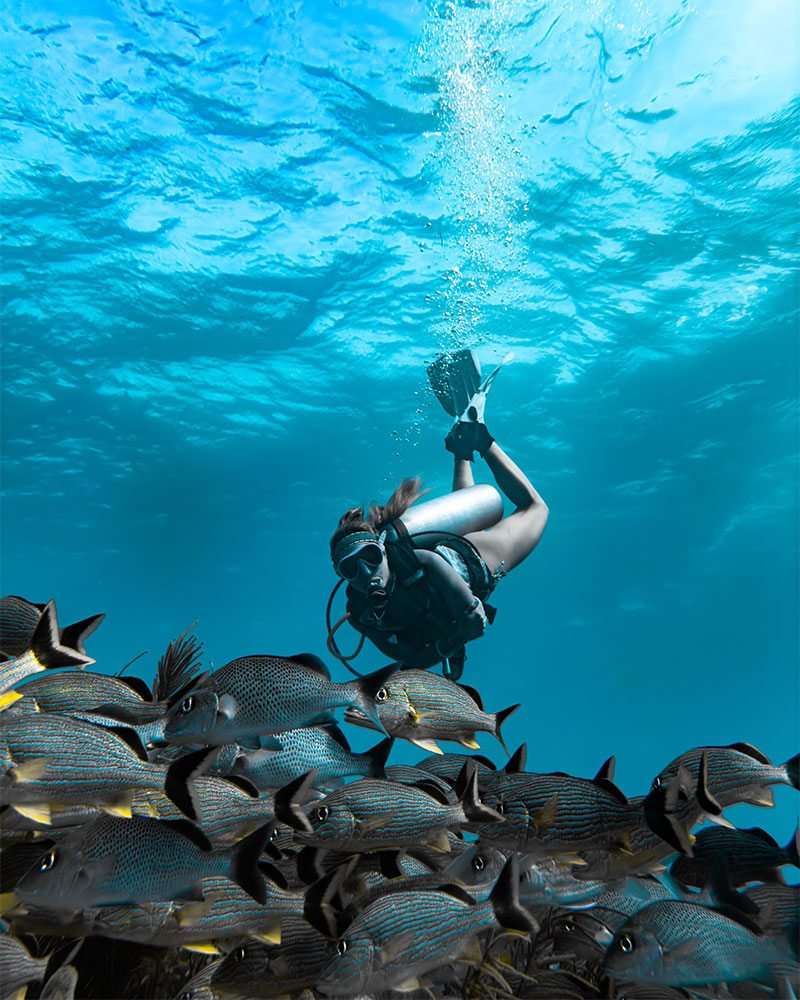 Certificación Open Water Diver  Reserva tu cupo